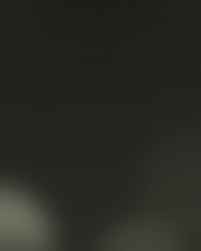 占位图 · 静物与光 02